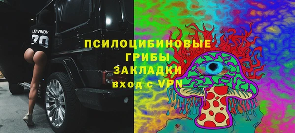 дурь Аркадак