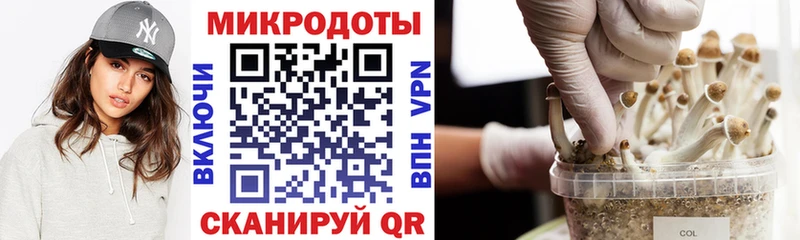 Галлюциногенные грибы прущие грибы  где купить наркотик  Кувандык 